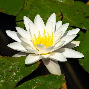 彩票大奖