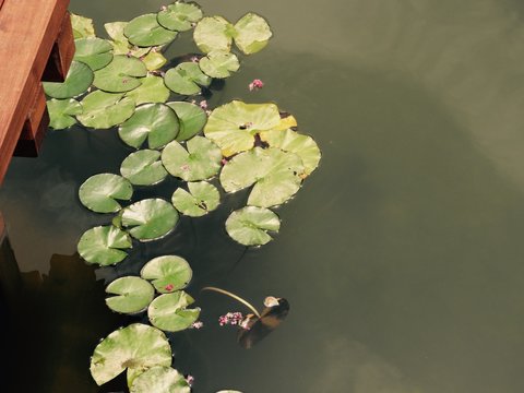 福利彩票兑奖流程